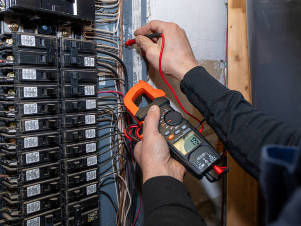 Best Electric Panel Repair  in Morse, LA